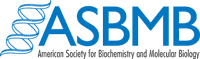 American Society for Biochemistry and Molecular Biology Logo
